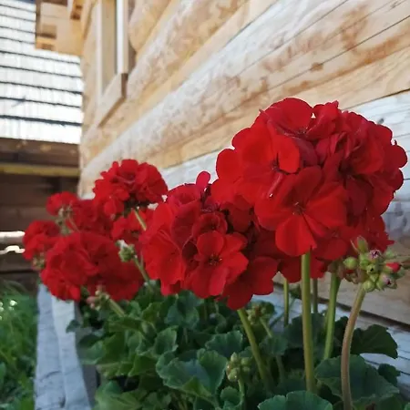 Evka Ruzomberok